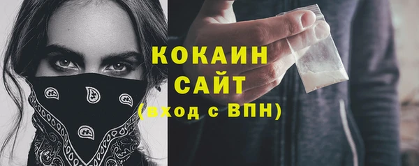 индика Армянск