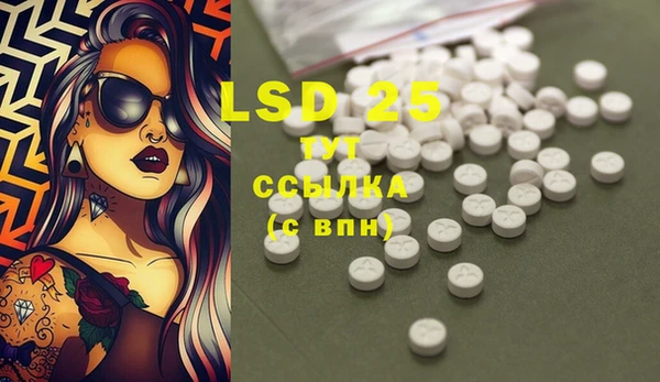 индика Армянск