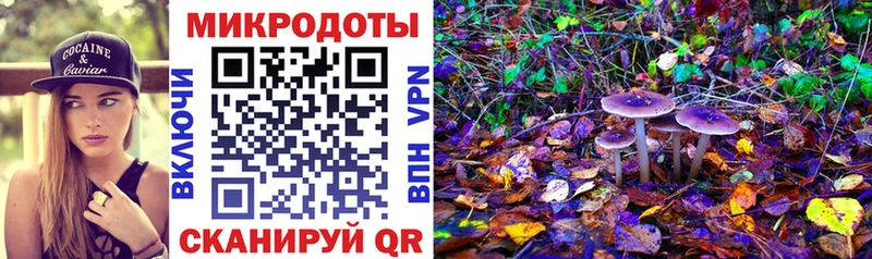 Псилоцибиновые грибы Psilocybine cubensis  наркошоп  Вольск 